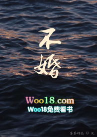 不婚主义小说