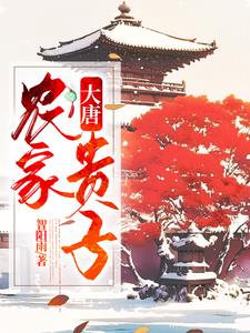 穿越大唐农家小子